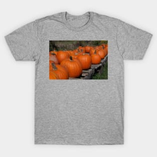 Pumpkins For Sale T-Shirt